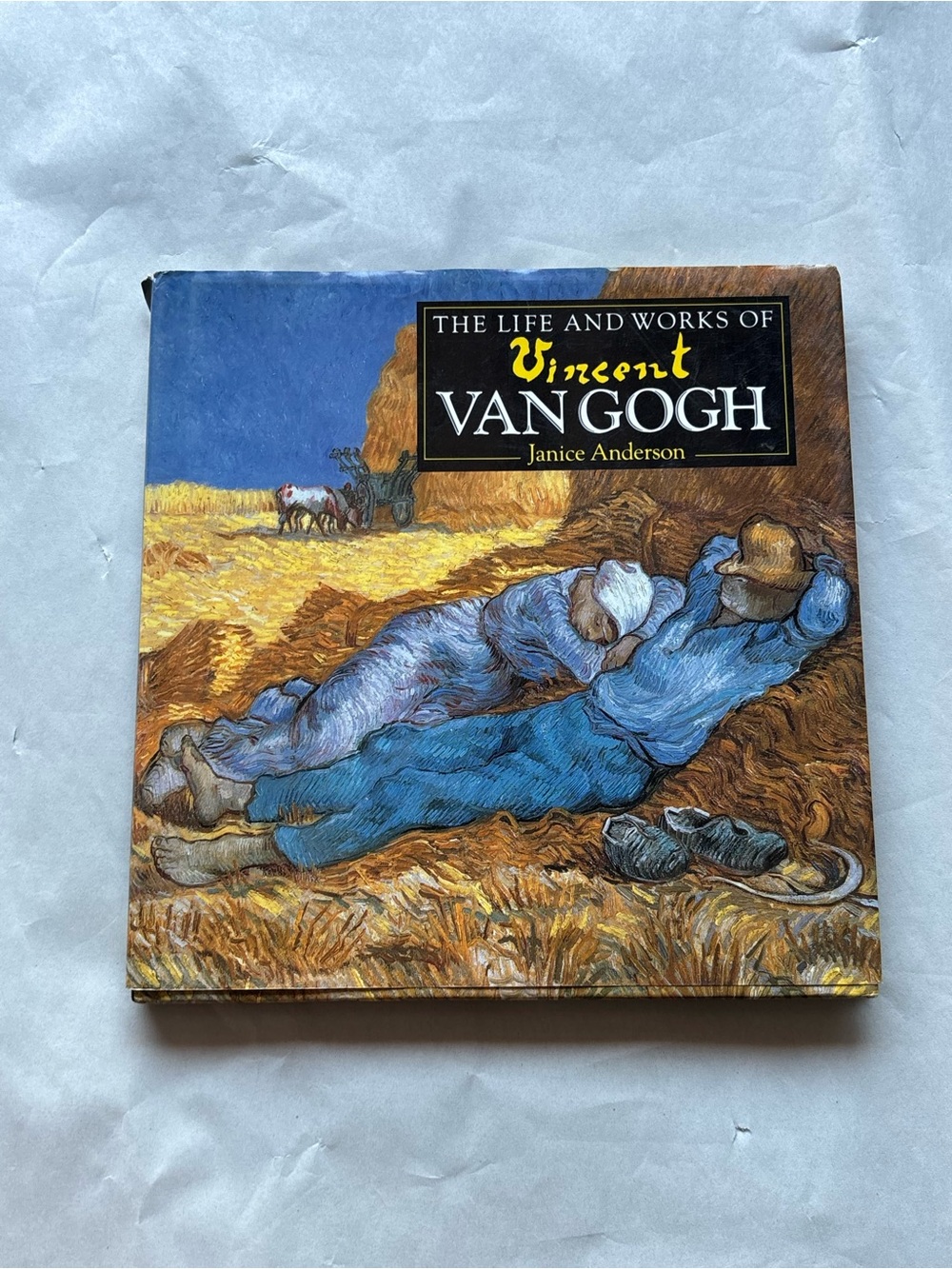 The Life and Works of Vincent Van Gogh by Janice Anderson